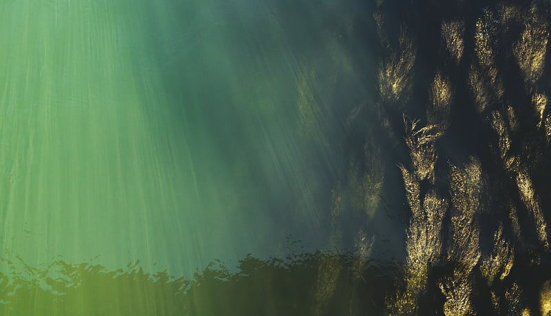 Underwater Wedding Venue